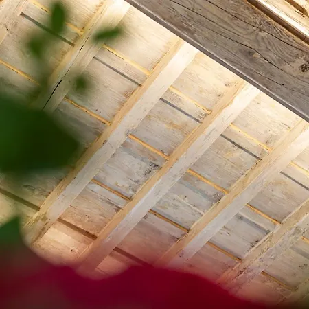 Apartment Piattellina Five Senses